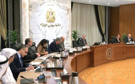 رئيس الوزراء يلتقي مع مسئولي الشركات الإماراتية لمناقشة مشروعات استثمارية