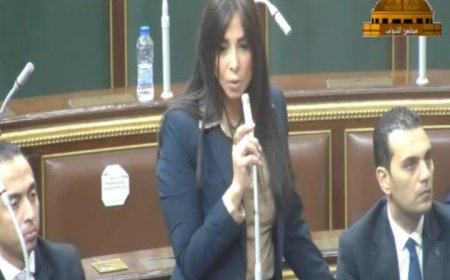 مروة بركات تشارك فى الجلسة العامة لمجلس النواب لمناقشة مشروع قانون الضمان الاجتماعي
