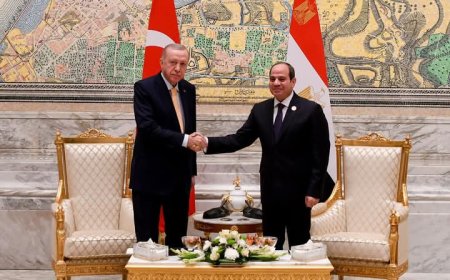 الرئيس عبد الفتاح السيسى يلتقى الرئيس التركى على هامش قمة الثمانية