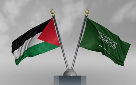 السعودية توافق علي مشروع قرار النرويج بشأن إلتزامات إسرائيل الأممية لصالح الفلسطينيين