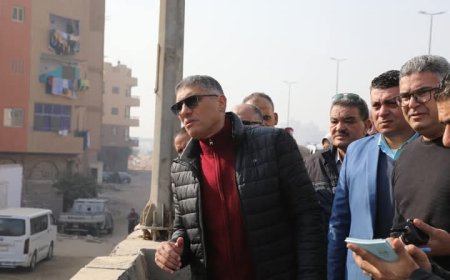 محافظ الجيزة يتفقد المواقع المقترحة للتشجير بالطريق الدائري ضمن المبادرة الرئاسية 100 مليون شجرة