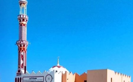 إحلال وتجديد وصيانة وتطوير 1137 مسجداً وفرش أكثر من 2400 في عام 2024