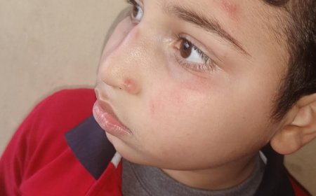 بلطجة وتنمر وسرقة بالإكراه داخل مدرسة ابتدائية بالسويس