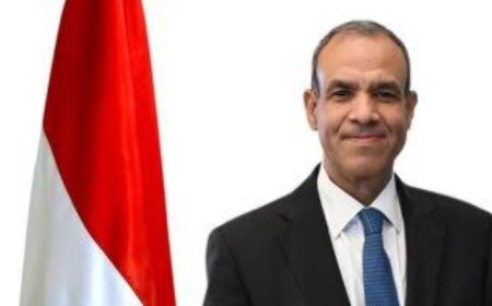 وزير الخارجية والهجرة يعقد لقاء افتراضياً مع أعضاء الجالية المصرية في استراليا