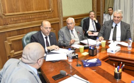 وزير العمل أمام لجنة الطاقة والبيئة والقوى العاملة بمجلس الشيوخ