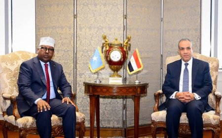 وزير الخارجية يبحث مع نظيره الصومالي سبل التعاون المشترك