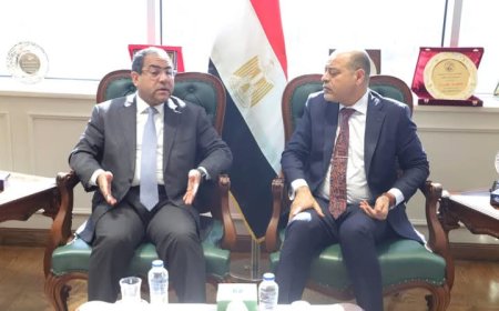 وزير العمل يلتقي رئيس الجهاز المركزي للتنظيم والإدارة لبحث تفعيل سبل التعاون بينهما