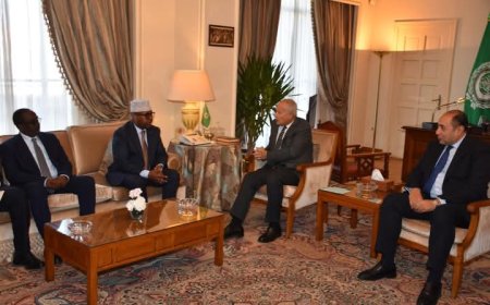 "أبو الغيط" يستقبل وزير الشئون الخارجية والتعاون الدولي الصومالي