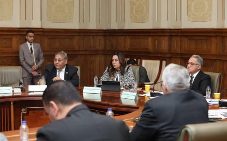 وزيرة التنمية المحلية تحضر اجتماع لمواجهه ظاهرة انتشار الحيوانات الضالة بالمحافظات