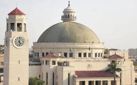 رئيس جامعة القاهرة يعين 5 رؤساء جدد لمجالس الأقسام المرضية