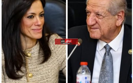 "المشاط": المجموعة الوزارية لريادة الأعمال تعمل على إعداد ميثاق لمجتمع الشركات الناشئة في مصر