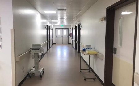 أسماء المصابين في حادث انقلاب أتوبيس سياحي بطريق السويس