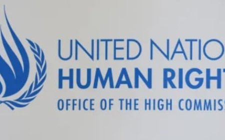 المفوضية تتهم إسرائيل بتدمير النظام الصحي في غزة