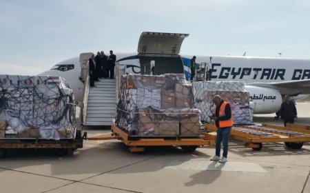 عاجل | وصول طائرة المساعدات المصرية إلى دمشق
