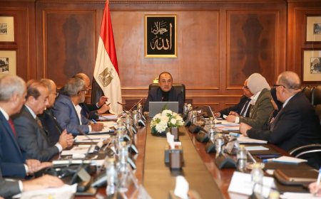 وزير قطاع الأعمال العام يزور شركتي "إيجوث" و "ECH" لـ متابعة مؤشرات الأداء وموقف المشروعات