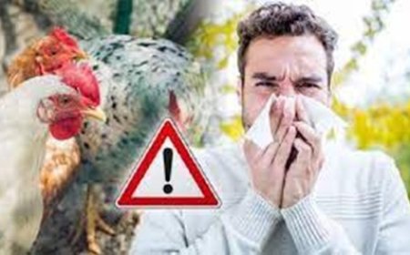 "إنفلونزا الطيور H5N1: تحذيرات عالمية من تطورات مقلقة وتهديد لصحة البشر"