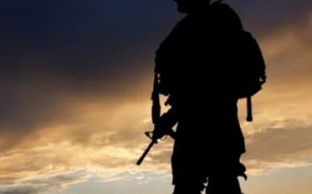 تحقيق برازيلي في جرائم حرب ضد جندي إسرائيلي والهروب إلى الأرجنتين