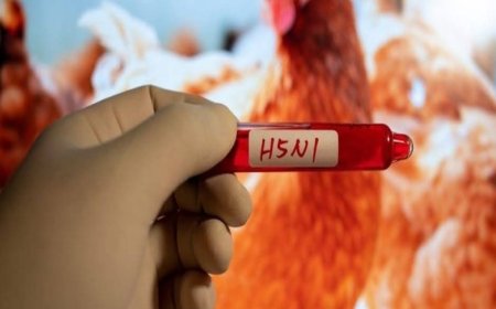 تسجيل أول حالة وفاة بشرية بـ إنفلونزا الطيور في الولايات المتحدة