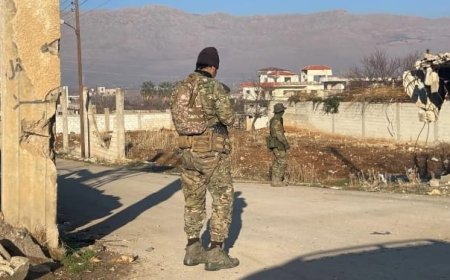 حملة أمنية في الزبداني لملاحقة فلول نظام الأسد