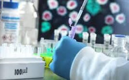 استشاري مناعة: فيروس HMPV غير وبائي ويشبه نزلات البرد