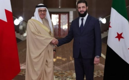 الشرع يستقبل وزير الخارجية البحريني في دمشق لدعم التغيرات في سوريا