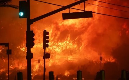 حرائق لوس أنجلوس تجبر مشاهير هوليوود على إخلاء منازلهم