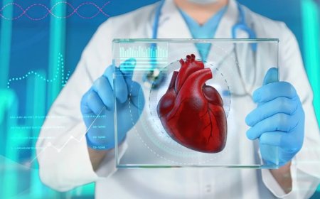 هل يمكن للقلب الشفاء من تلقاء نفسه؟ دراسة تكشف عن قدرة تجديد خلايا عضلة القلب