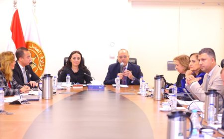 كونيكتا العالمية تؤسس مقرًا في مصر باستثمارات 100 مليون دولار