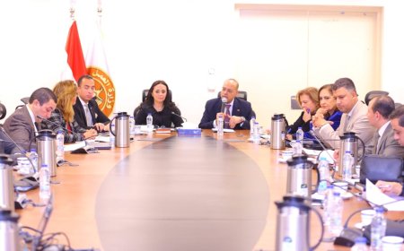 إجتماع لإعداد "مشروع قانون العمالة المنزلية" برئاسة وزيري التضامن والعمل