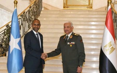وزير الدفاع والإنتاج الحربي يلتقي نظيره الصومالي لتعزيز التعاون المشترك