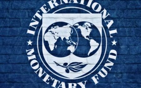 مصر ترفع حصتها في صندوق النقد الدولي بنسبة 50%"