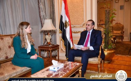 المستشار محمود فوزي يستقبل سيلين إيمارت لـ بحث المصالح المشتركة وتعزيز أواصر التعاون البرلماني بين الجانبين