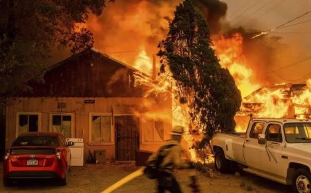 كيف تسهم النباتات في إشعال حرائق لوس أنجلوس كل شتاء؟