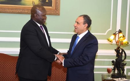 وزير الخارجية والهجرة يلتقي وزير التجارة والصناعة بجنوب السودان