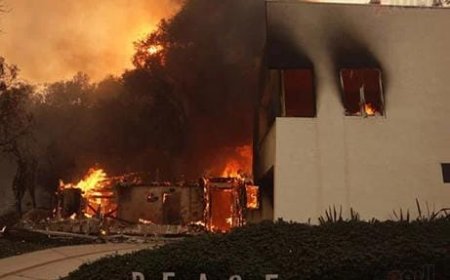 حرائق كاليفورنيا |دمار بلا هوادة يحوّل الأحياء إلى رماد ويهدد المليارات