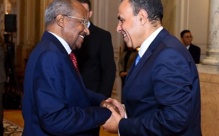 مباحثات دبلوماسية بين مصر وإريتريا لتعزيز التعاون الثنائي