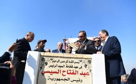 رئيس هيئة تنمية الصعيد ومحافظ قنا يضعان حجر الأساس لمحطة إنتاج شتلات القصب