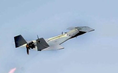 الجيش الإيراني تسلم اليوم 1000 طائرة مسيّرة جديدة