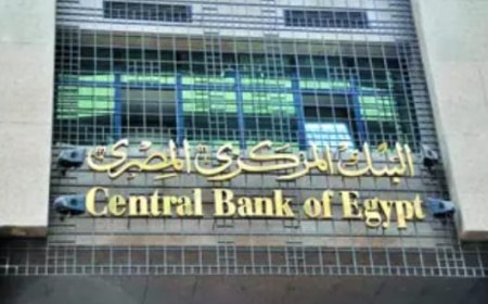 مصر تتلقى 21 مليار دولار استثمارات من الدول العربية خلال 3 أشهر