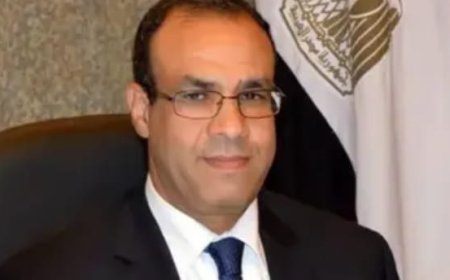 لماذا وصف وزير خارجية مصر الإدارة الحالية في سوريا بسلطة الأمر الواقع؟