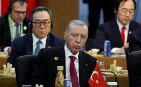 الحزب الحاكم يستعد لولاية أردوغان الجديدة