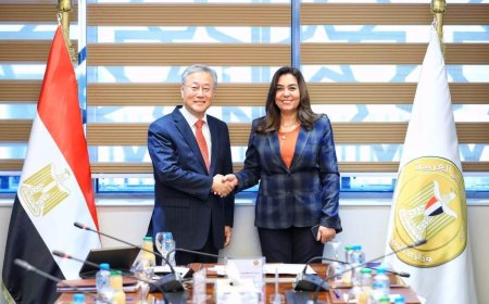 وزيرة التنمية المحلية تبحث مع سفير كوريا الجنوبية بالقاهرة مجالات التعاون المشترك