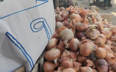 محافظ الجيزة يفتتح منفذ لبيع الخضراوات والفواكه بسعر الجملة في سوق 6 أكتوبر