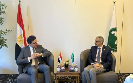 وزير الثقافة المصري يلتقي مدير "الألكسو" في إطار مؤتمر وزراء الثقافة العرب