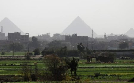 الزراعة المصرية تكشف عن تغيير كبير في البلاد لم يحدث منذ الفراعنة