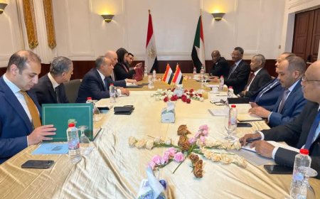 مباحثات رسمية بين وزير الخارجية ونظيره السوداني فى بورسودان