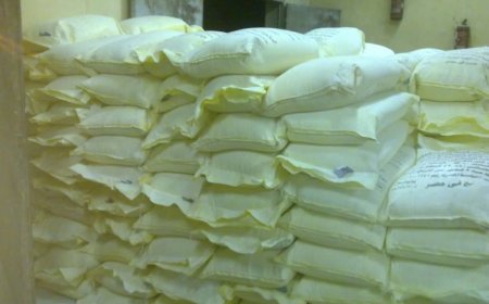 محافظ القاهرة: حملات رقابية مكثفه علي كافة السلع وضبط الأسواق بالتنسيق بين مديرية مباحث التموين والطب البيطري والصحة