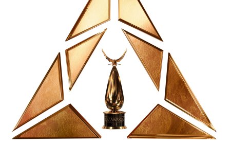 تكريم أبرز النجوم والأعمال التي صنعت علامة فارقة في عالم الترفيه خلال العام الماضي 2024