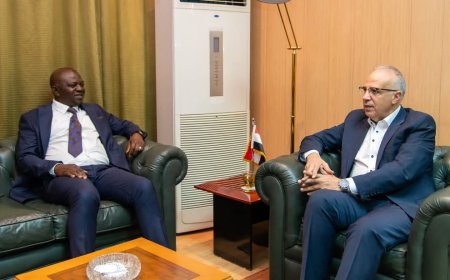 وزارة الموارد المائية والري: تعزيز التعاون بين مصر ونيجيريا في مجال إدارة الموارد المائية