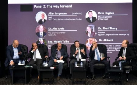 مصر تطلق النسخة العربية لإرشادات السلوك المسؤول